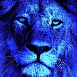 Meet your Posher, C-word